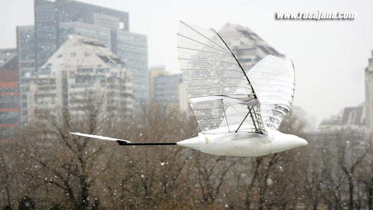 Politeknik Üniversitesi, kanatlarını çırparak uçan hava aracı geliştirdi
